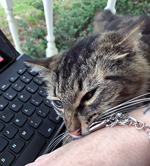 Ma chewing on my bracelet.