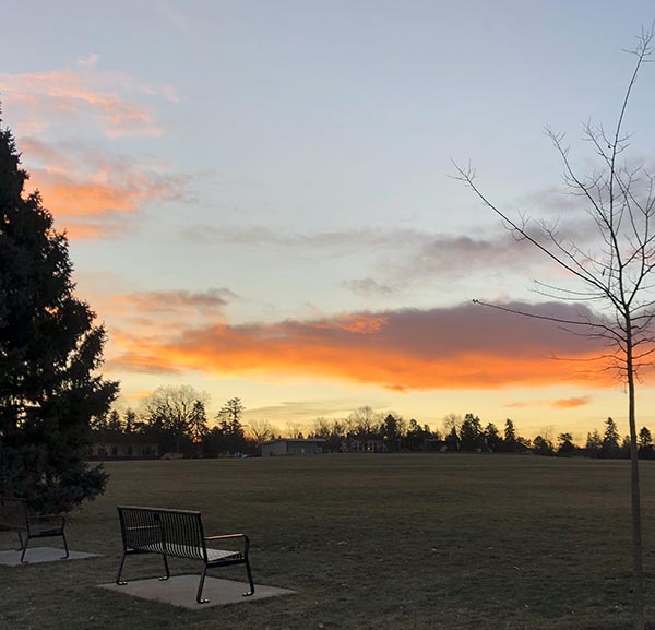 Picture of a park early in the morning. 